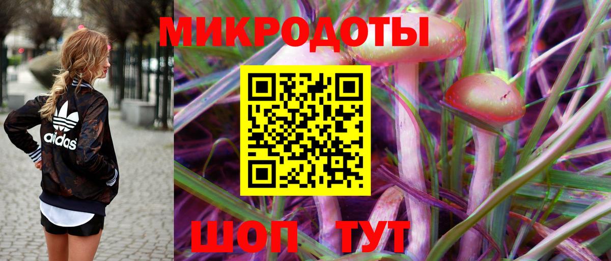Мытищи  Галлюциногенные грибы Psilocybe  Псилоцибиновые грибы мухоморы  Вход с VPN 